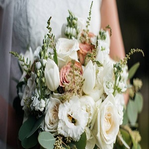 Flowers & Plants Co. Coupons