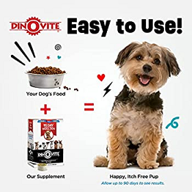Dinovite Coupons